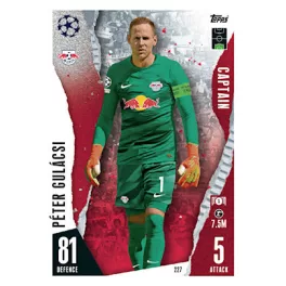 227. Péter Gulácsi - Captain