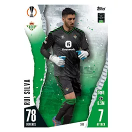 308. Rui Silva 
