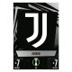 361. Club Badge - Juventus