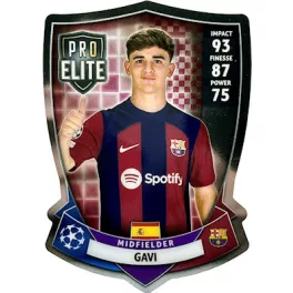 SH 6.  Gavi