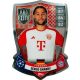 SH 12.  Serge Gnabry