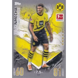 117. Felix Nmecha