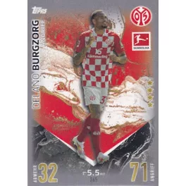 265. Delano Burgzorg