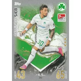 392. Armindo Sieb