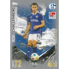 429. Ron Schallenberg