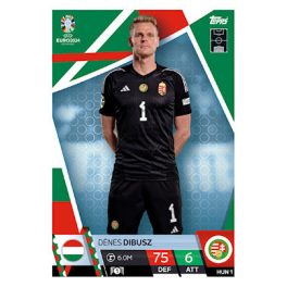 HUN1. Dénes Dibusz