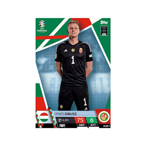 HUN1. Dénes Dibusz