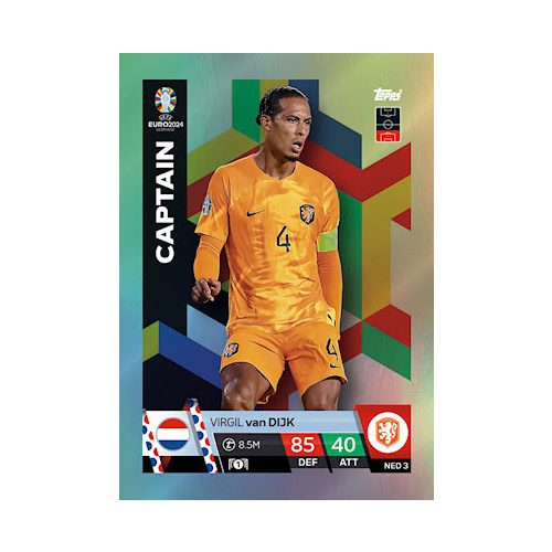 NED3. Virgil van Dijk