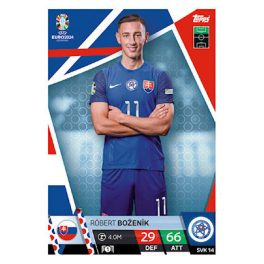 SVK14. Róbert Boženík