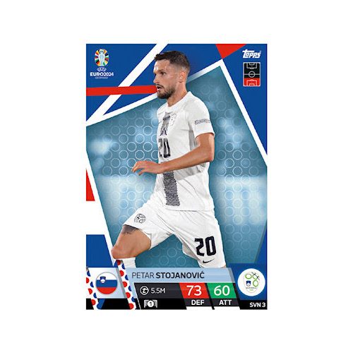 SVN3. Petar Stojanovic