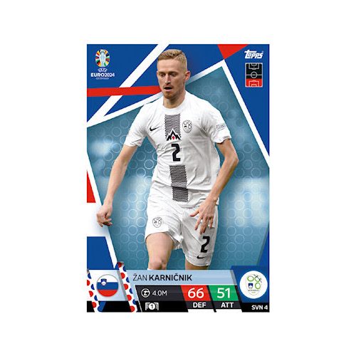 SVN4. Žan Karnicnik