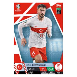 TUR14. Halil Dervisoglu
