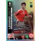 LSS4. Brian Laudrup