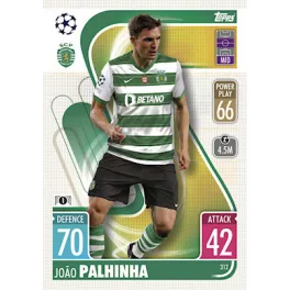 312. João Palhinha