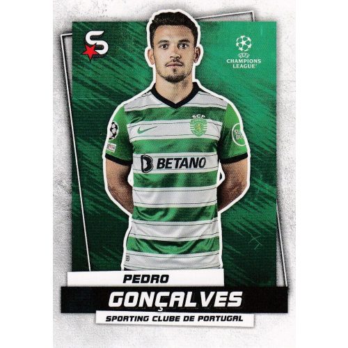 147.  Pedro Gonçalves