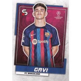 51.  Gavi 
