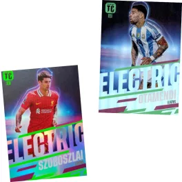 Electric
