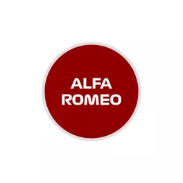 Alfa Romeo F1 Team